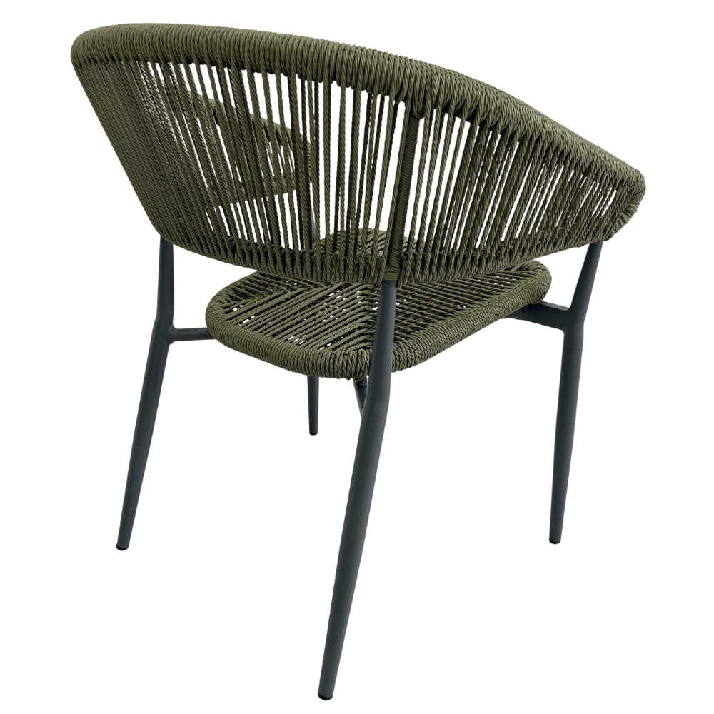 Vela olive 2.png