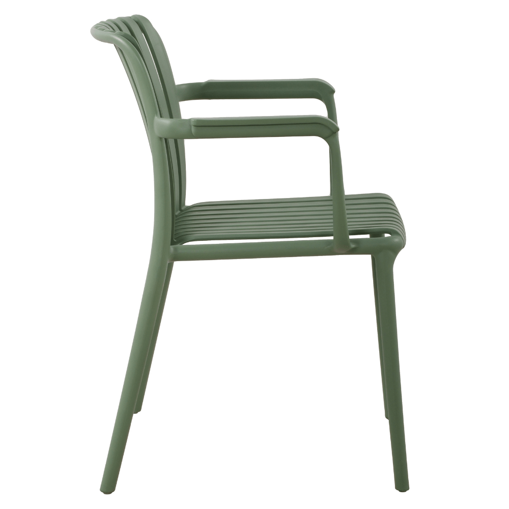 Bianca Olive AL 4.png